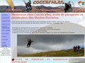 coccinailes