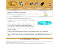 Sellerie Canine Vendéenne : fabricant accessoires chiens