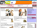 Elevage familial passion : GOLDEN RETRIEVER, BERGER AUSTRALIEN SHEPERD
