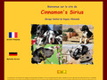 Elevage familial de dogue allemand harlequin et noir