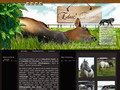 Education des chevaux, ethologiste