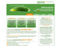 Goya Web Marketing, optimisation, refonte de site web et référencement