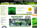 Tout un choix pour vos plantes pour terrarium : tout se trouve sur www.aquaplante.fr