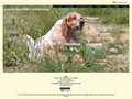 Elevage et vente de chiots 19