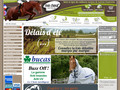 Blouson equitation