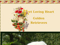 SWEET LOVING HEART GOLDEN RETRIEVER ELEVAGE