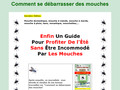 Trucs et astuces anti mouches
