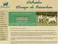 entreprise de labradors de Guisachan, adorable chiots labrador à aimer
