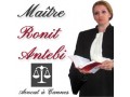Assistance avocat à Cannes - Maître Antebi